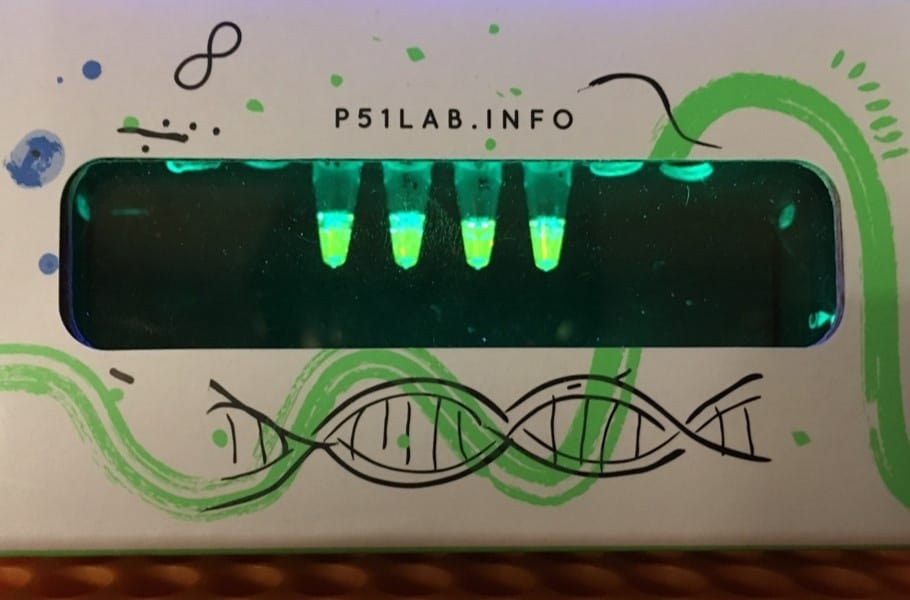 miniPCR® DNA Glow Lab™: Exploring DNA Structure