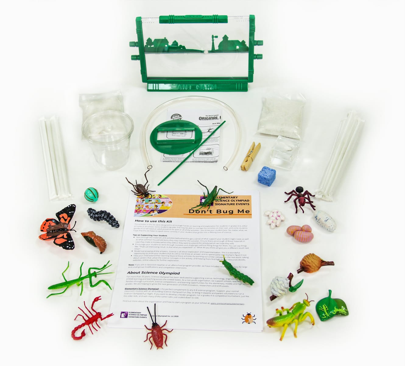 Elementary Science Olympiad: Don't Bug Me