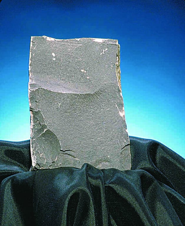 Ward's® Shale (Bituminous)