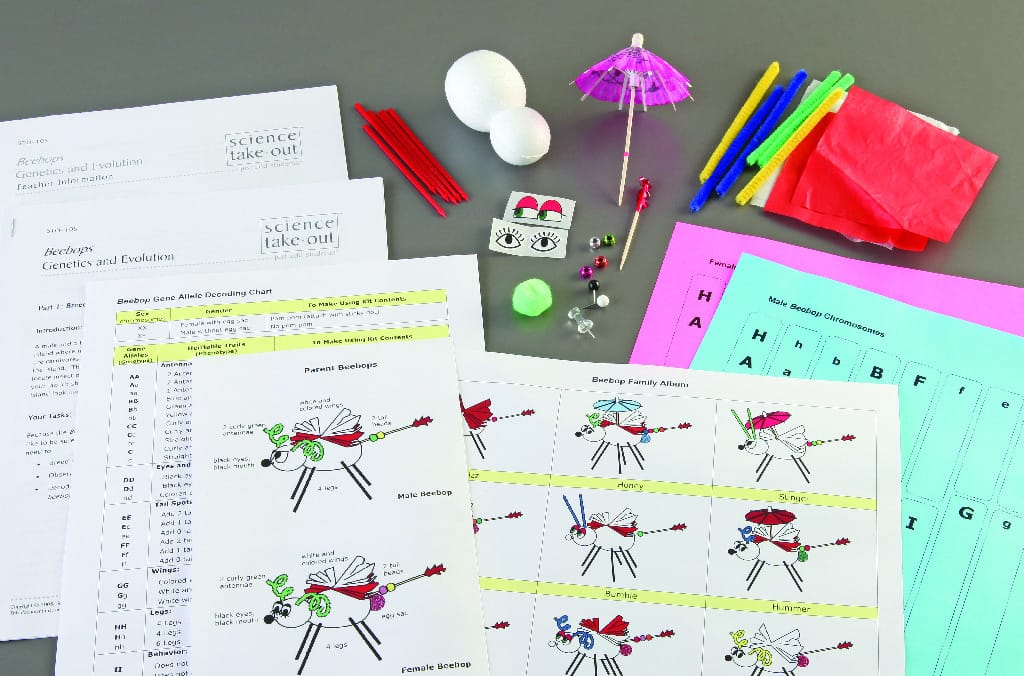 Science Take-Out® Beebops Genetics And Evolution