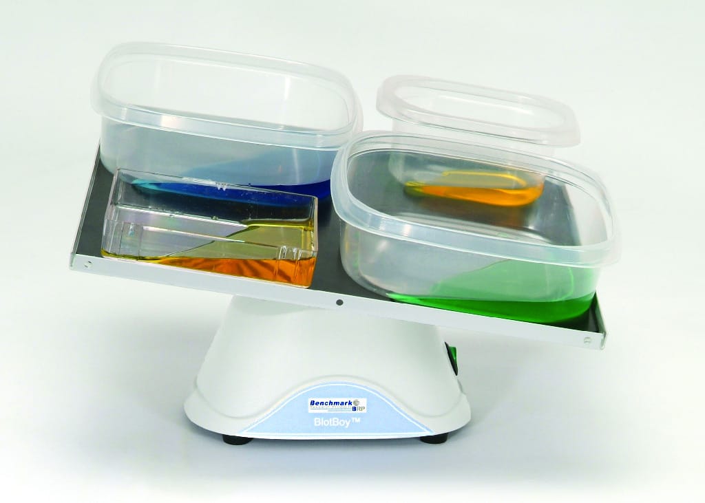 BlotBoy™ 3D Platform Rocker
