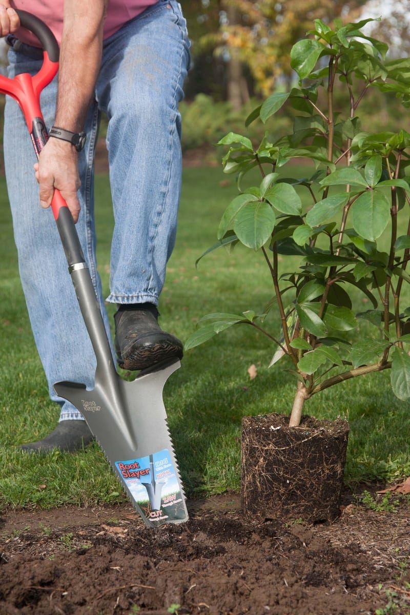 Gardener's Supply Company Root Slayer Shovel