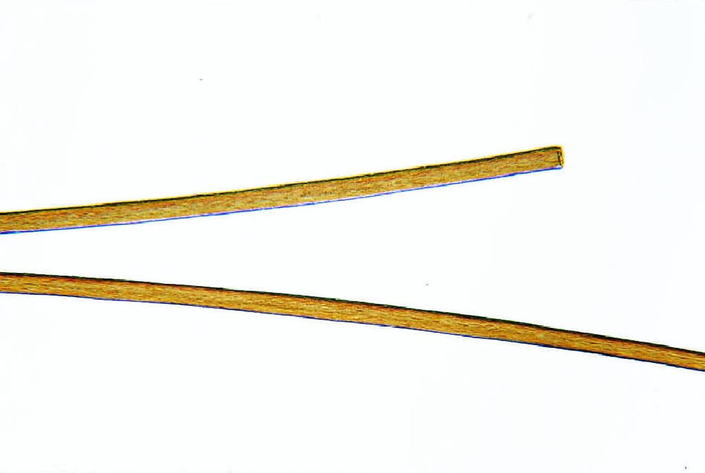 Ward's® Whole-Mounted Hair Slides