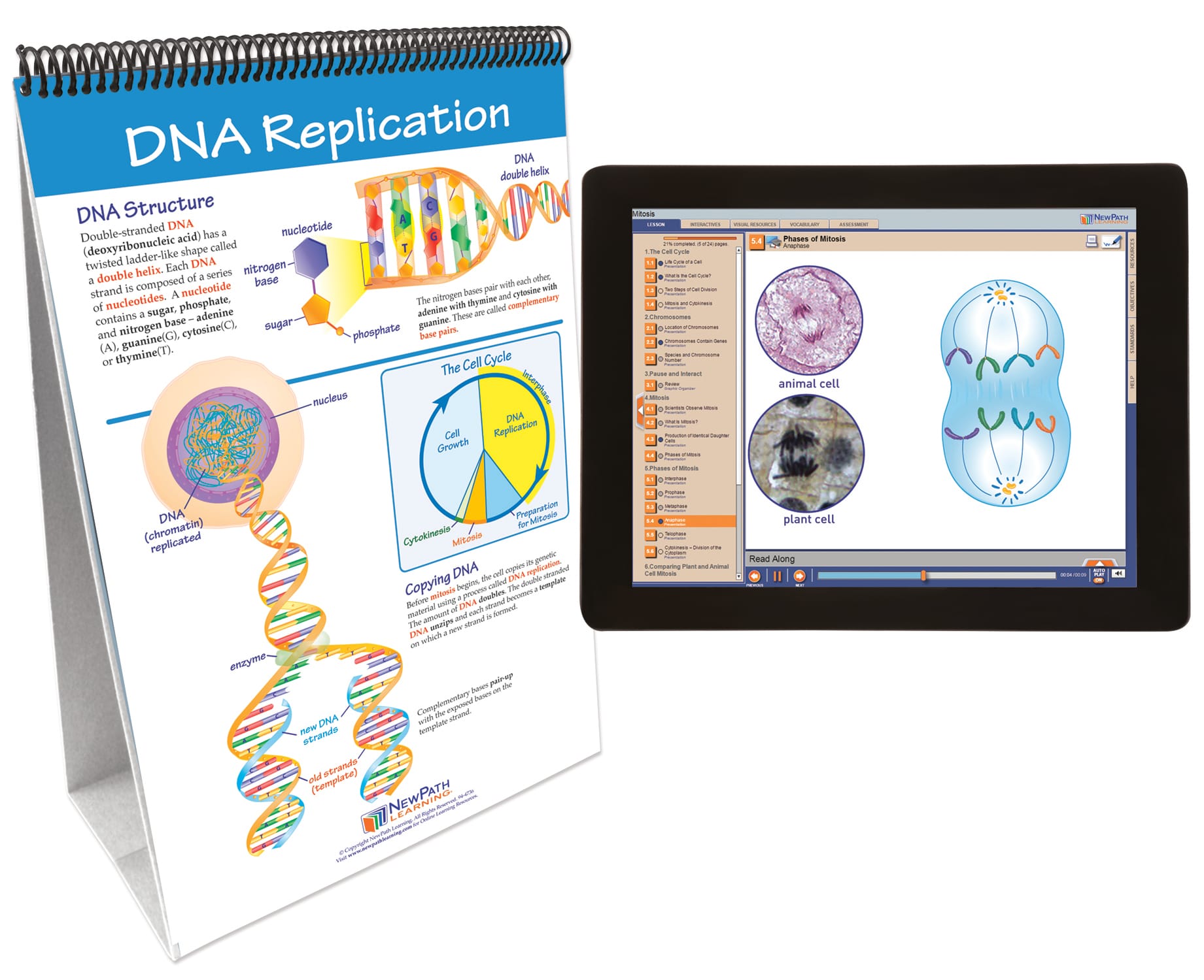 NewPath® Life Science Skill Builder Flip Charts with Multimedia Lessons