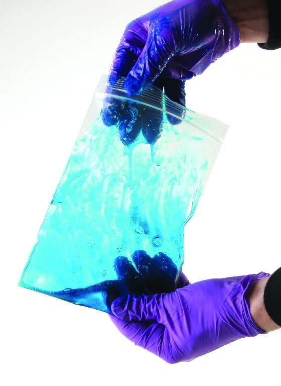 Slime In the Bag Inquiry, Laboratory Activity