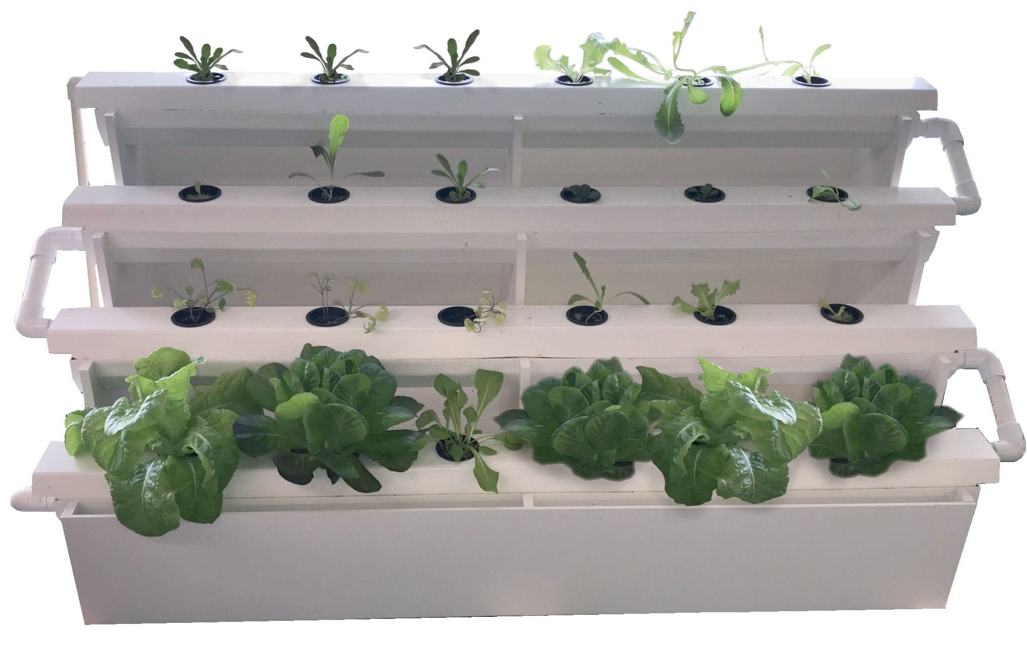 Aquaponics Growracks