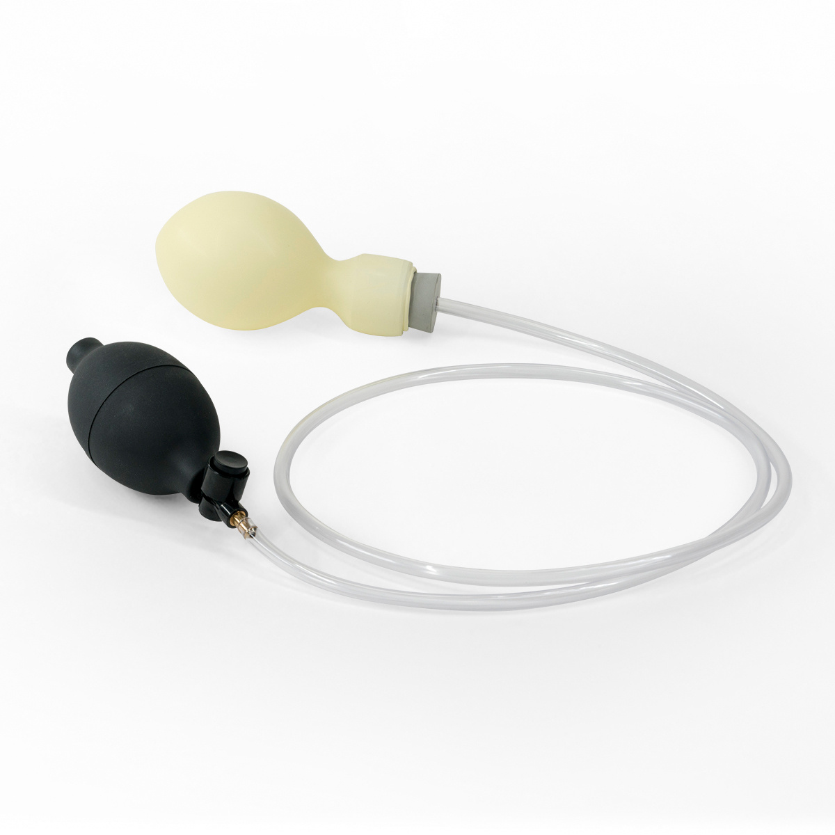 3B Scientific® Gynecologic Skills Trainer