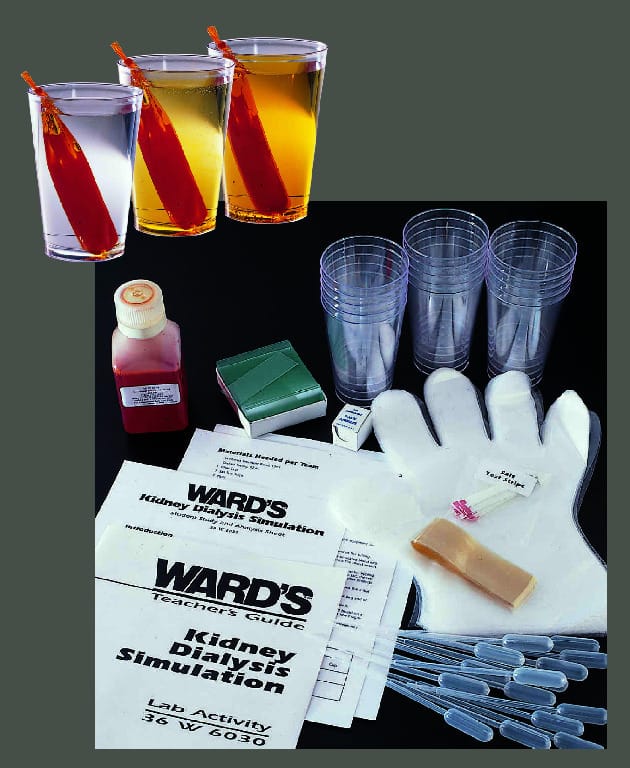 Ward's® Kidney Dialysis Simulation Kit