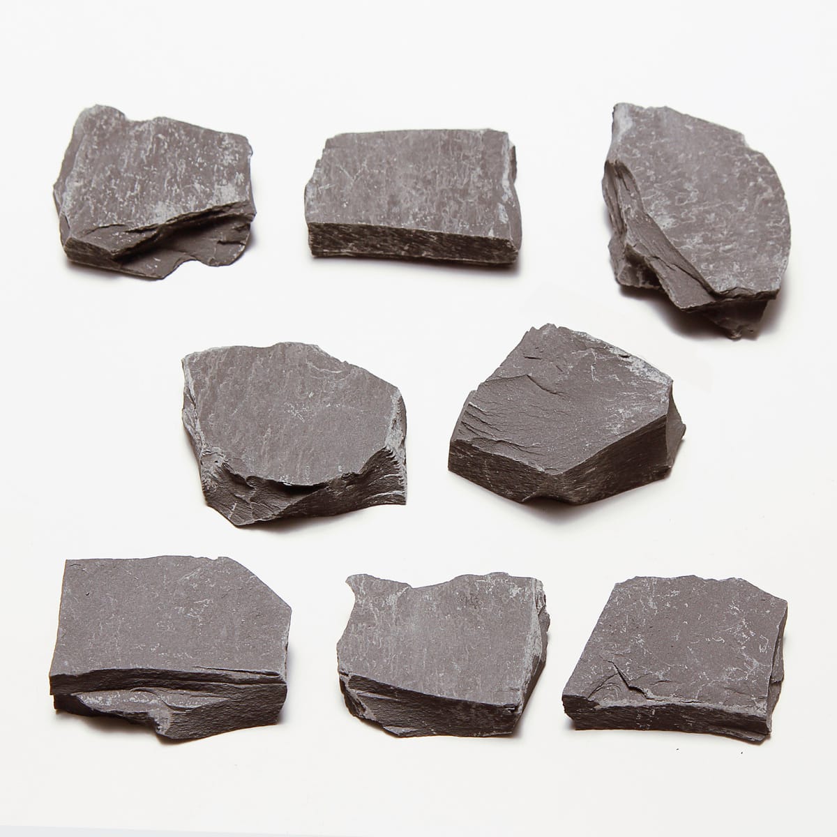 Ward's Science Essentials® Gray Slate