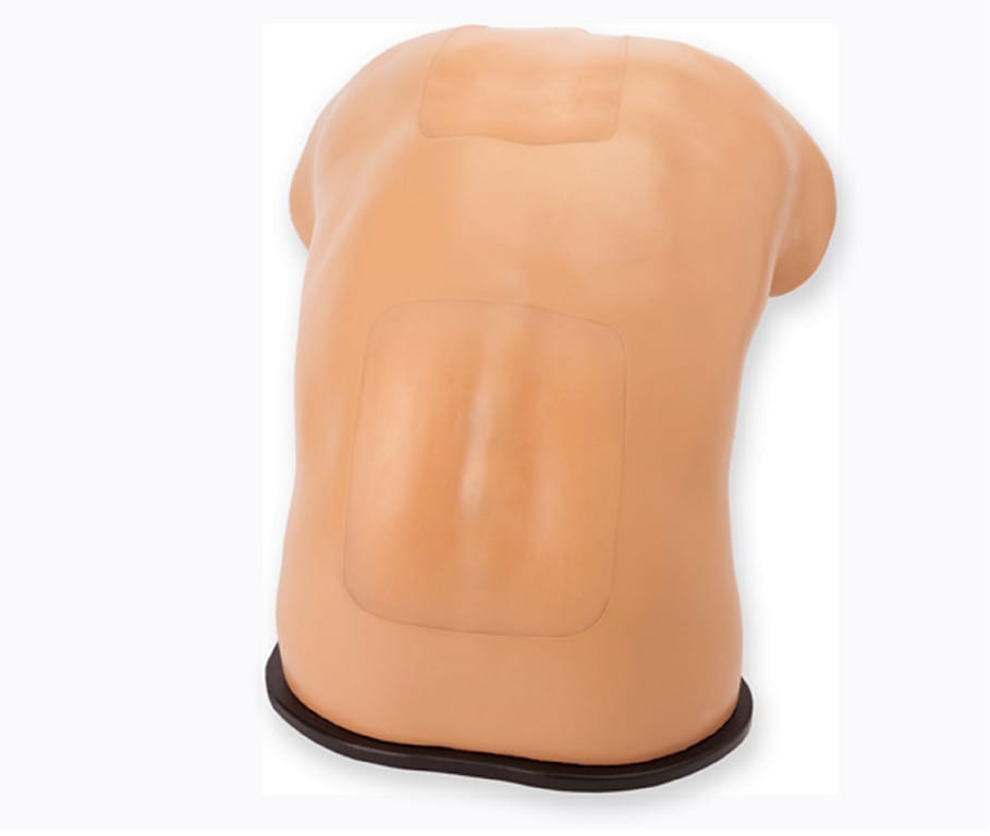 Blue Phantom® Lumbar Puncture Ultrasound Trainers