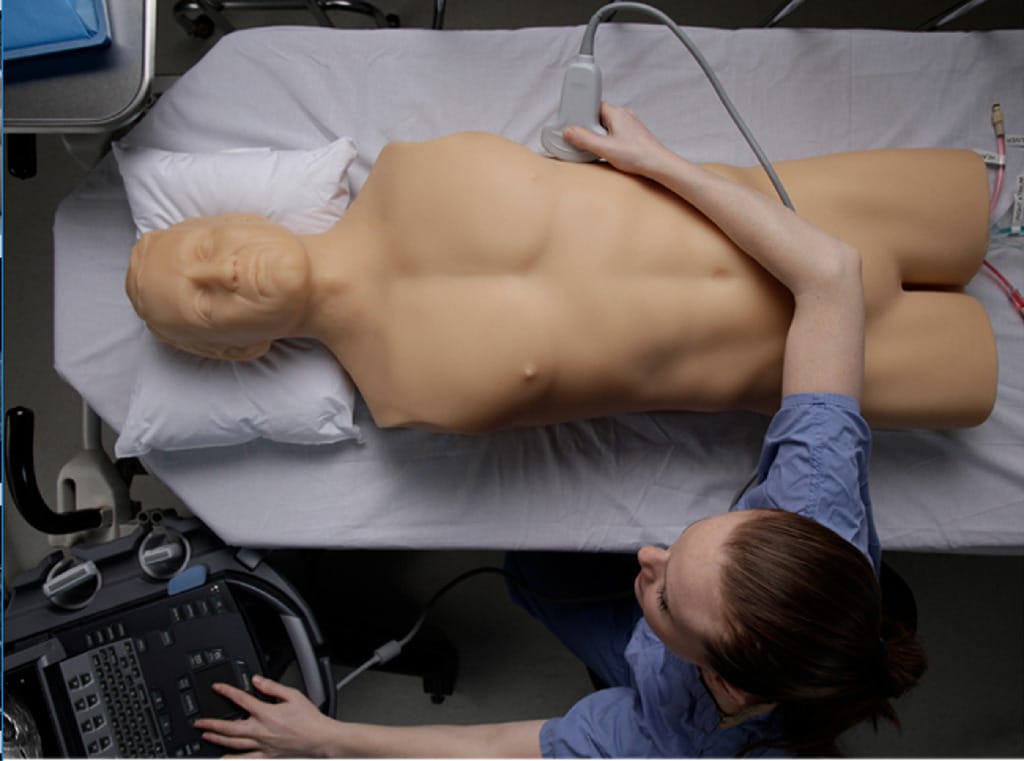 Blue Phantom® Full Body FAST Ultrasound Torso Trainer