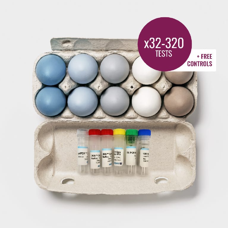 miniPCR® Blue Egg Chicken DNA Test