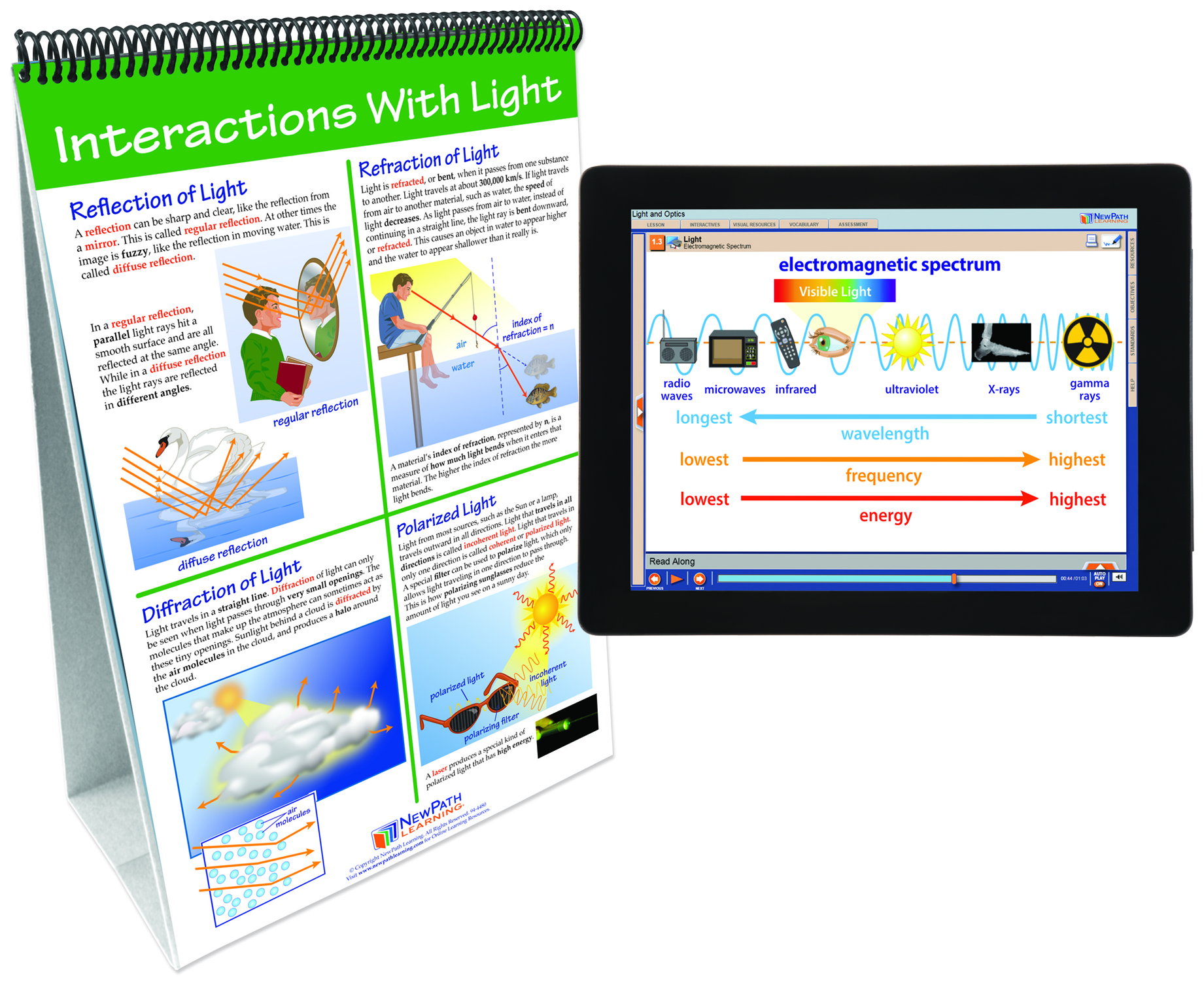NewPath® Physical Science Skill Builder Flip Charts with Multimedia Lessons