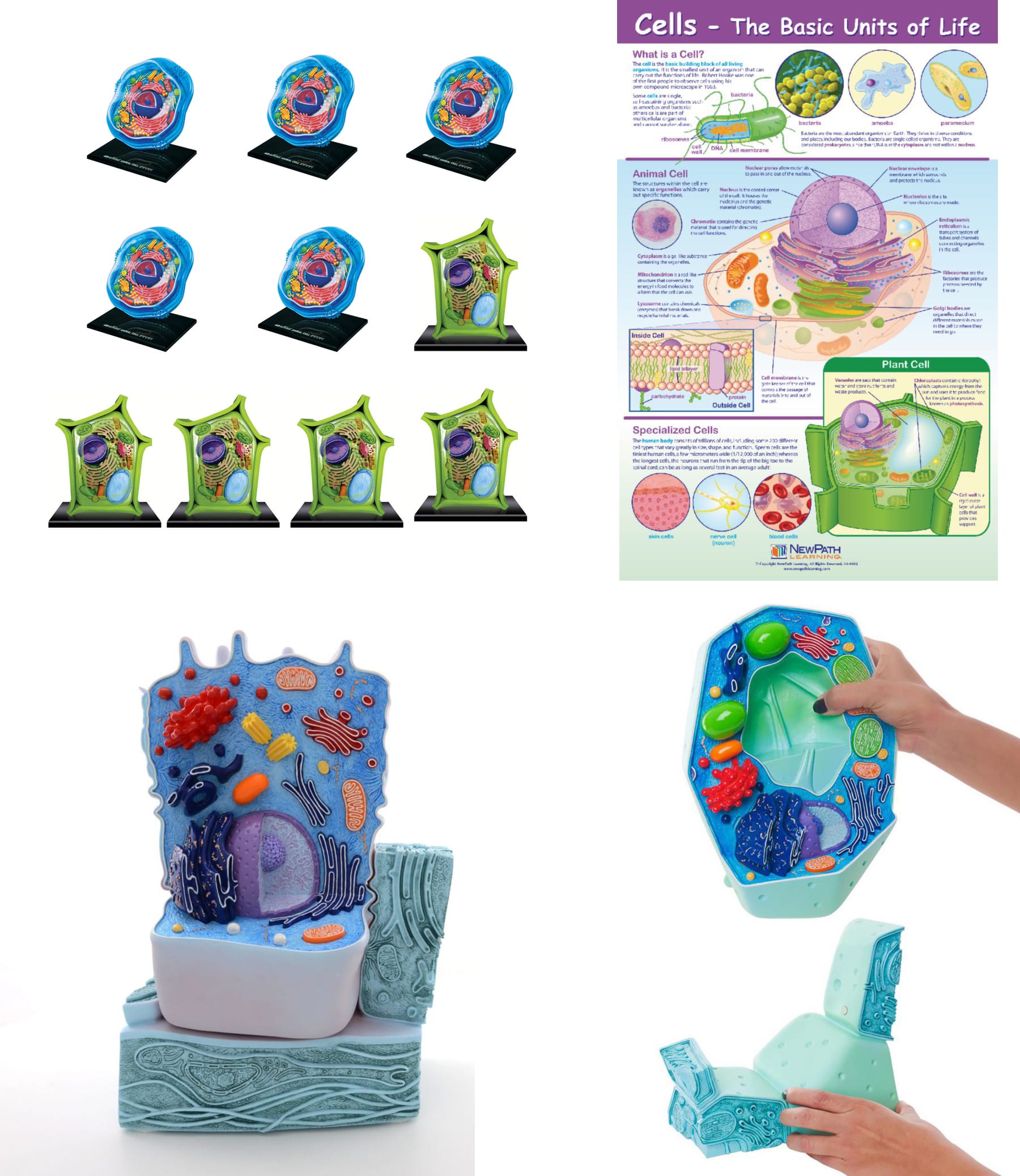 Classroom Model Bundles