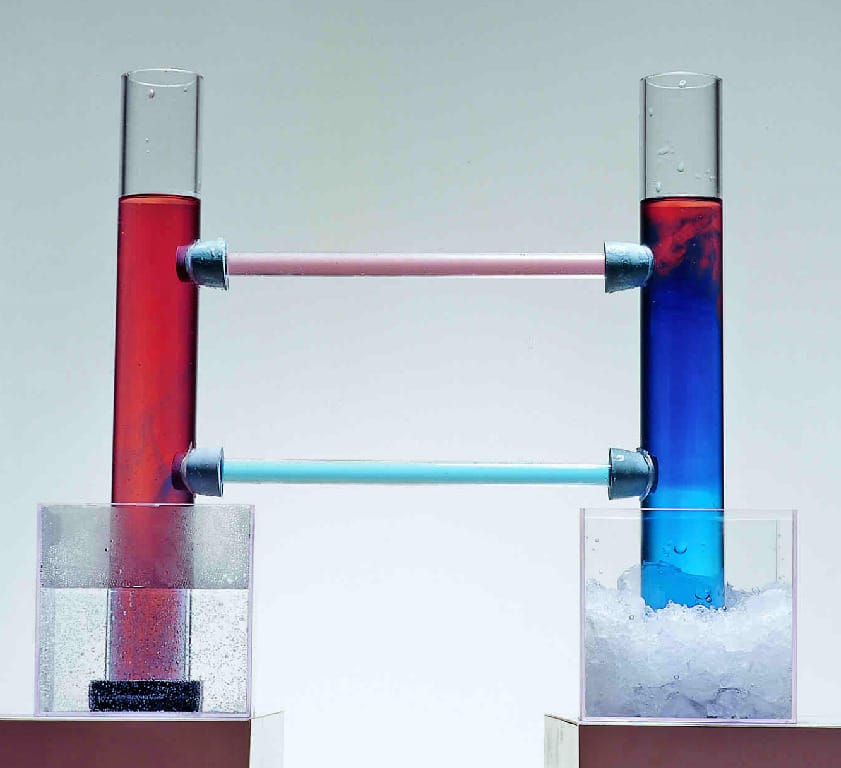 Ward's® Oceanic Circulation Model