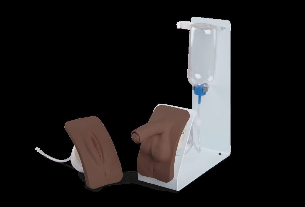 3B Scientific® Catheterization Trainers