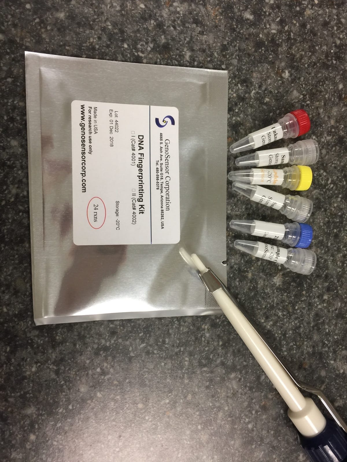 DNA Fingerprinting Kit: Identify the Criminal