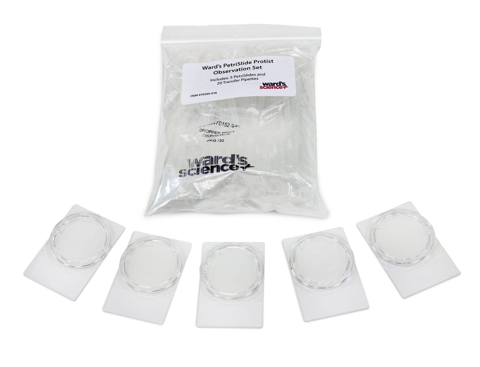 Ward's® Protist Observation PetriSlides