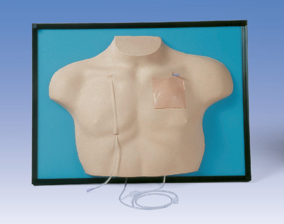 Venous Access Device Model