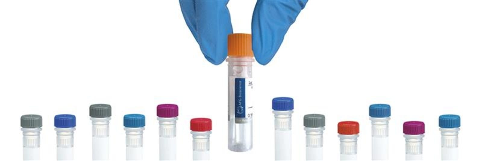 Anti-ZC3H14 Rabbit Polyclonal Antibody | VWR, part of Avantor