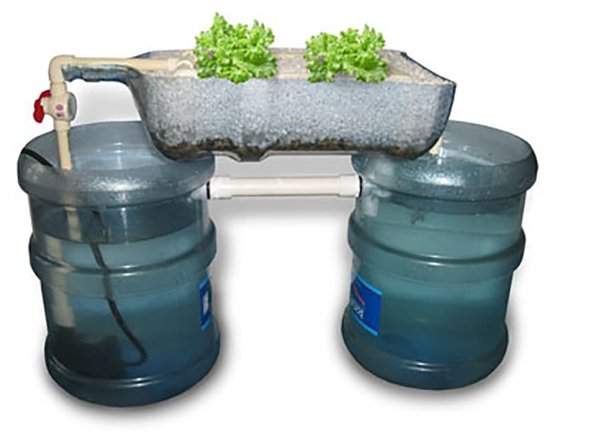 Countertop Aquaculture System