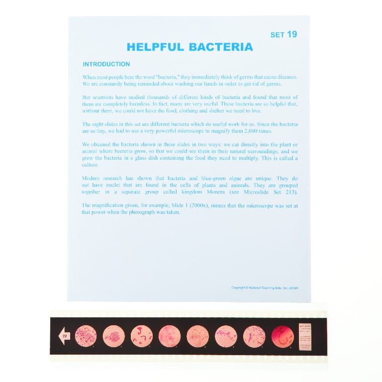 Helpful Bacteria Microslide
