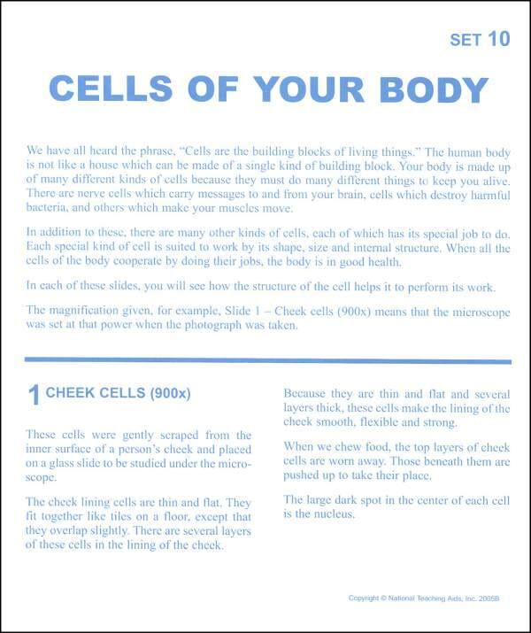 Cells of Your Body Microslides