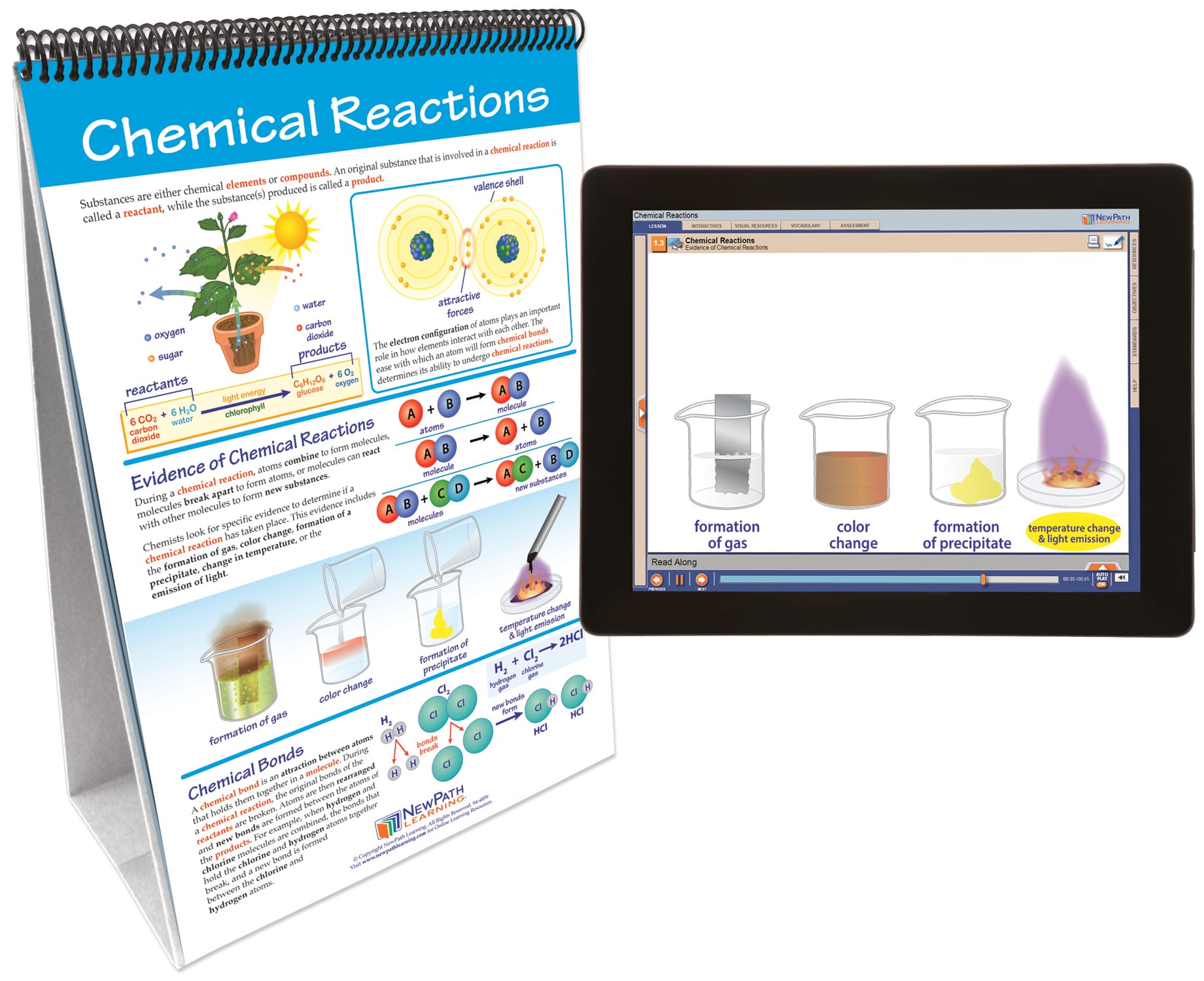 NewPath® Physical Science Skill Builder Flip Charts with Multimedia Lessons