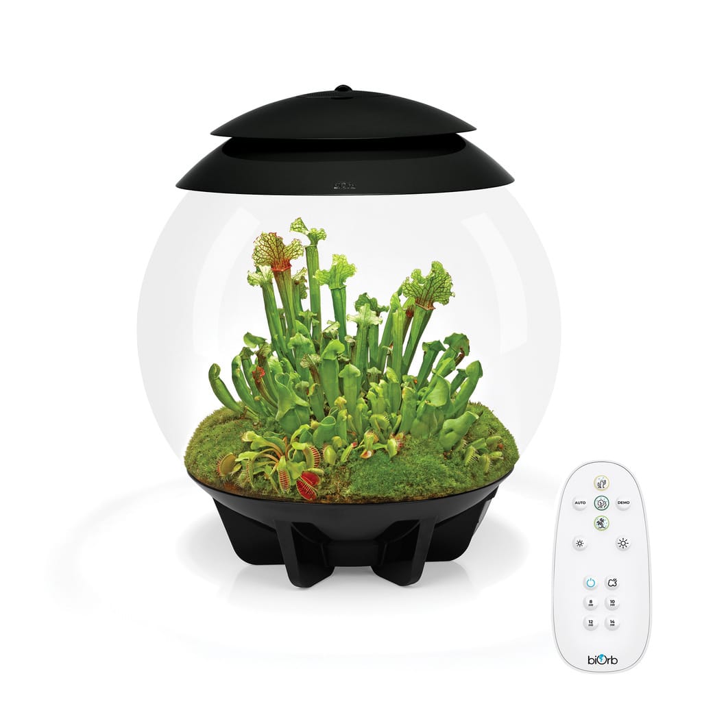 biOrb Air 30