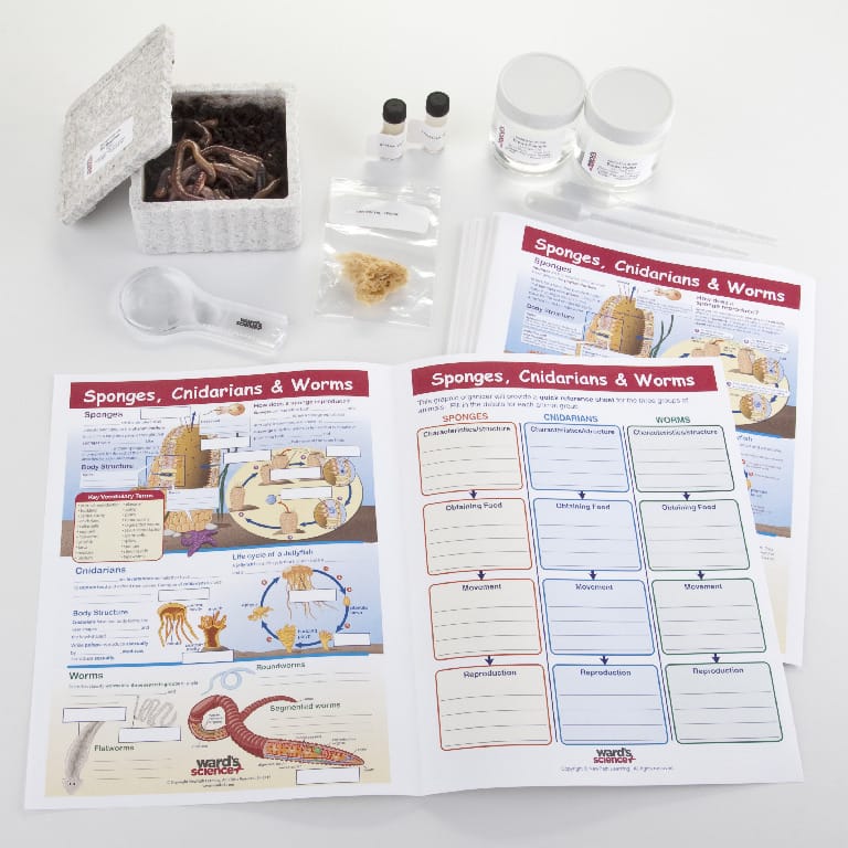 Ward's® Biology Collaborative Learning Bundles