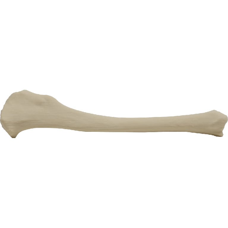 Med Dimensions® Vet Bones, Canine