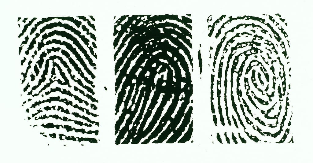 Fingerprints, Three Types Slide