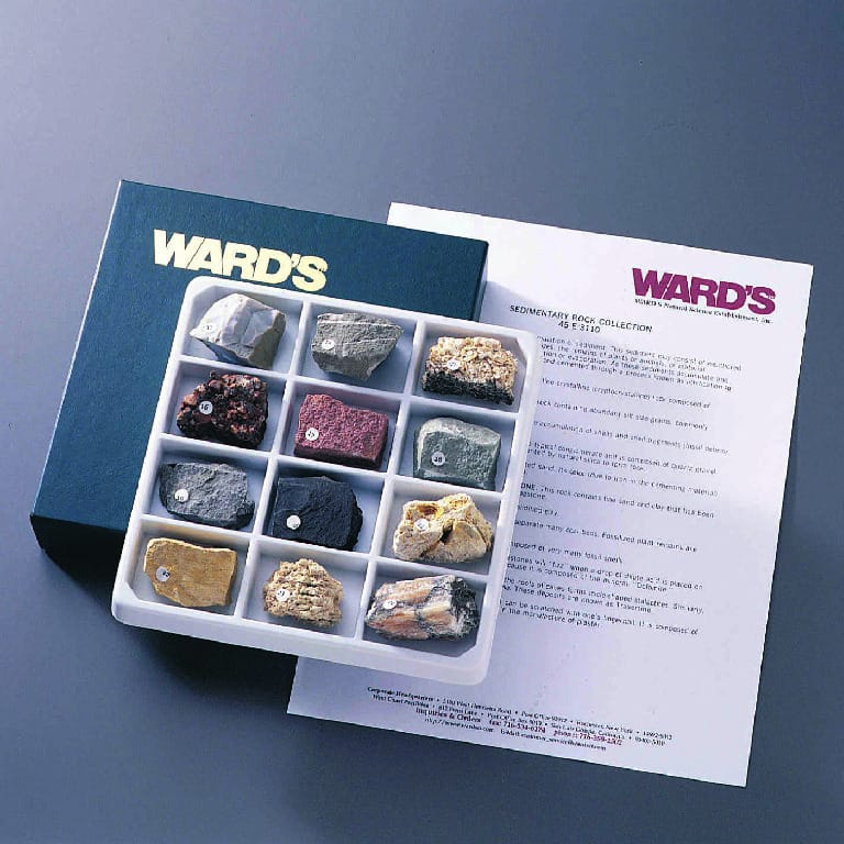 Ward's® Sedimentary Rock Collection