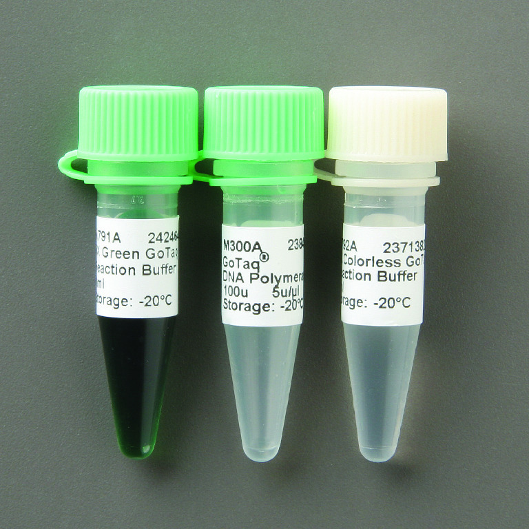 Promega GoTaq® DNA Polymerase