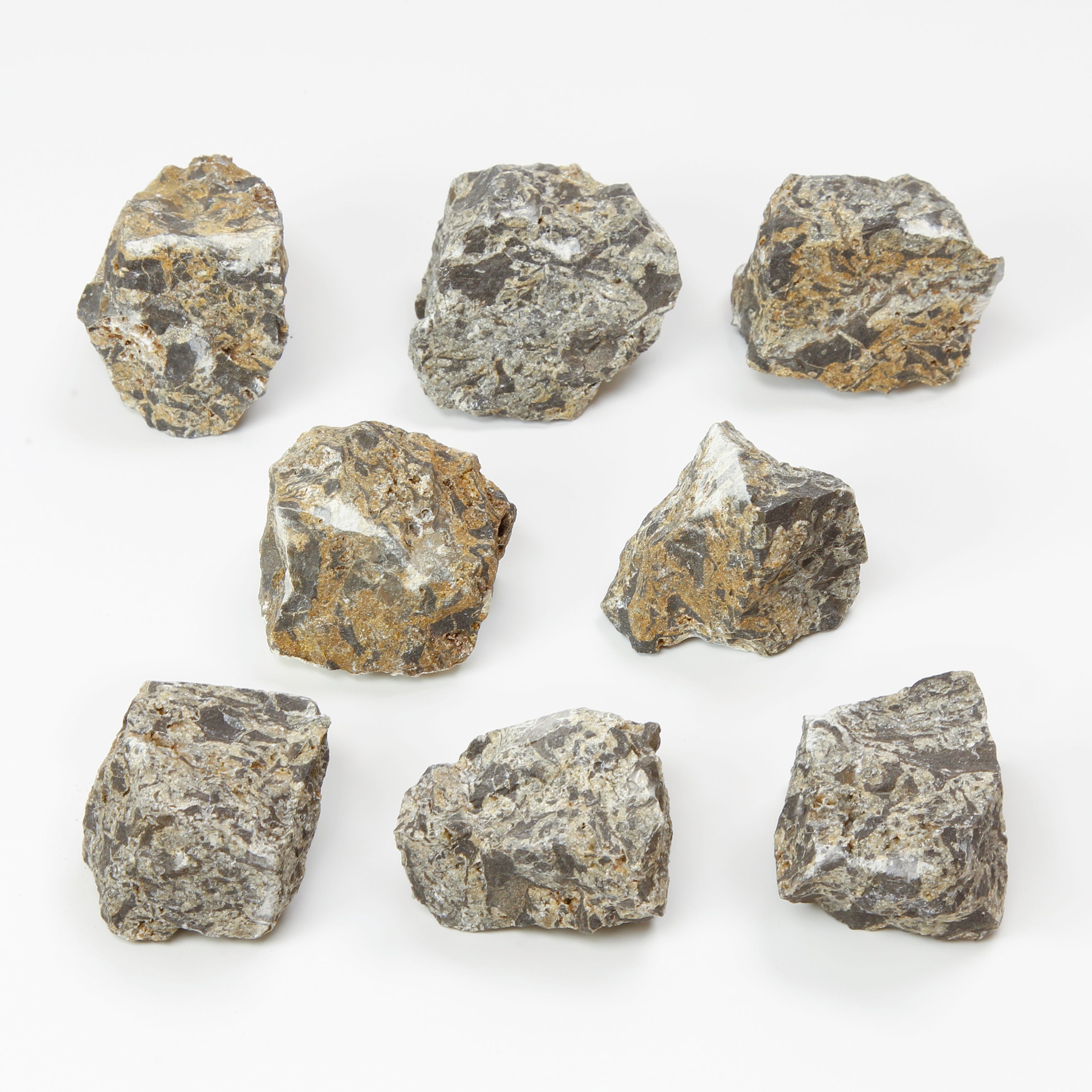 Ward's Science Essentials® Breccia