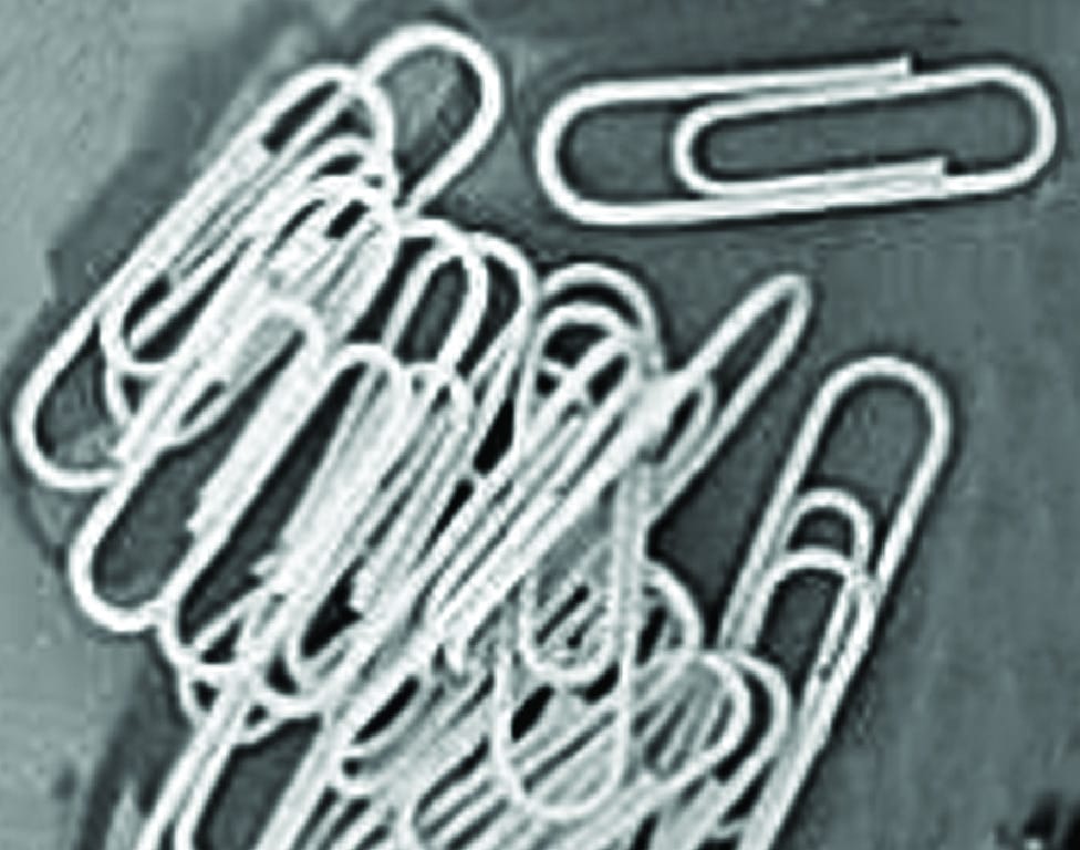Paper Clips