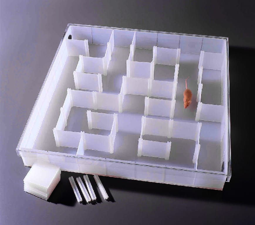 Ward's® Mouse Maze