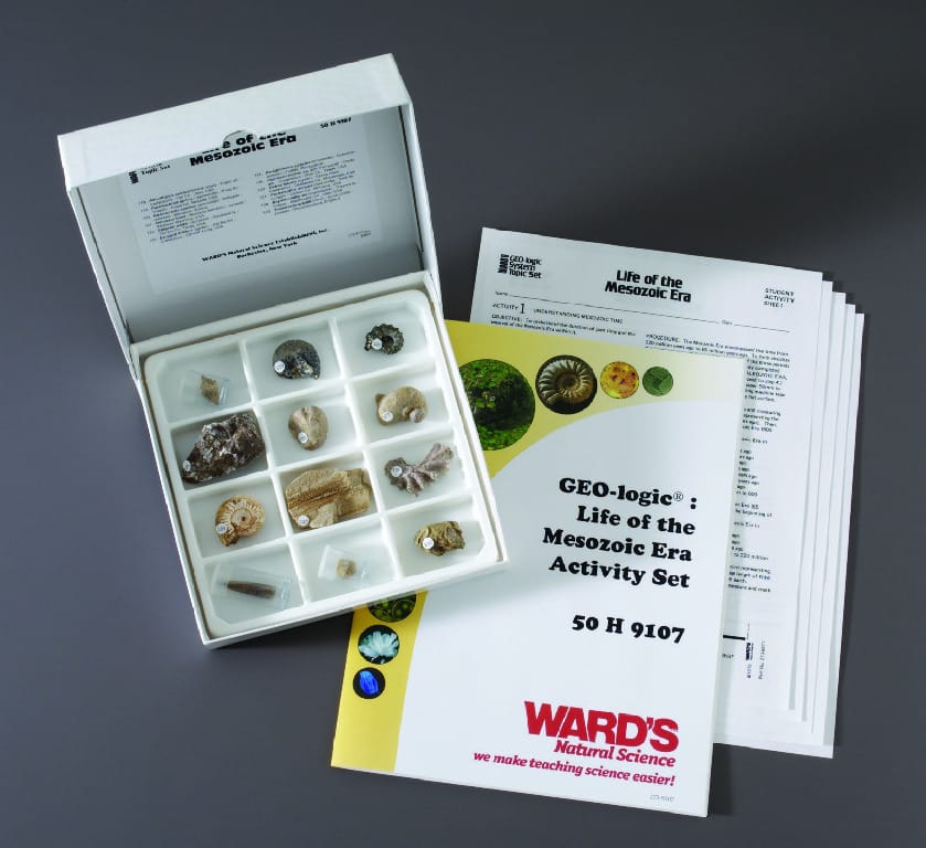 Ward's® GEO-Logic Life of the Mesozoic Era Topic Set