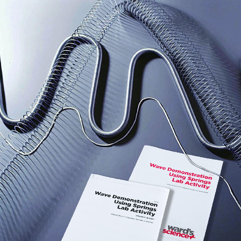 Ward's® Wave Demonstration Using Springs Lab Activity
