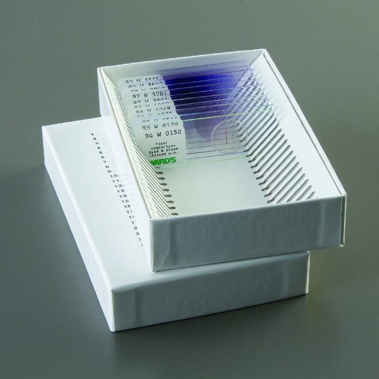 Forensic Blood Comparison Slide Set