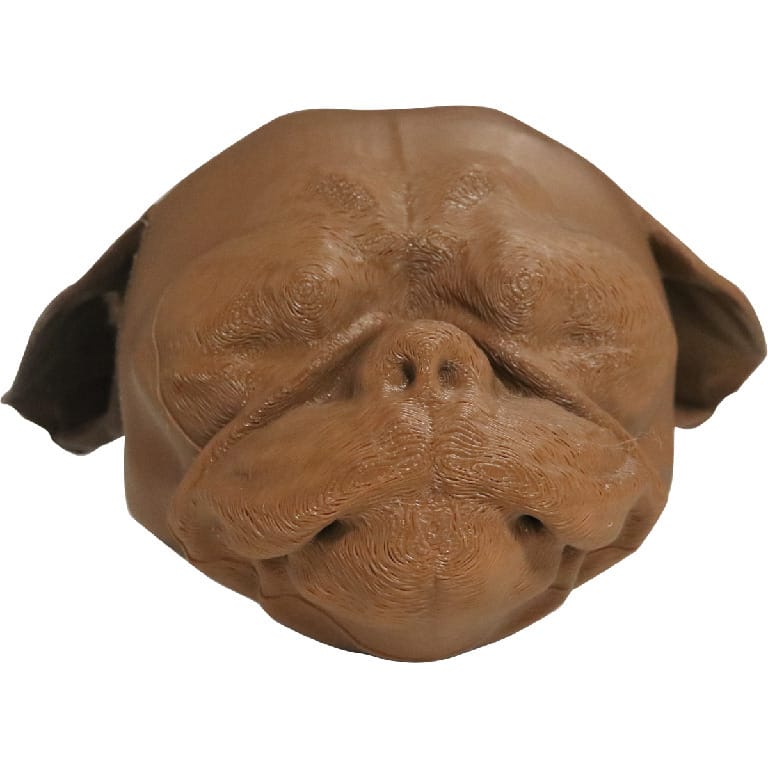 Med Dimensions® Canine Otoscopy Trainer