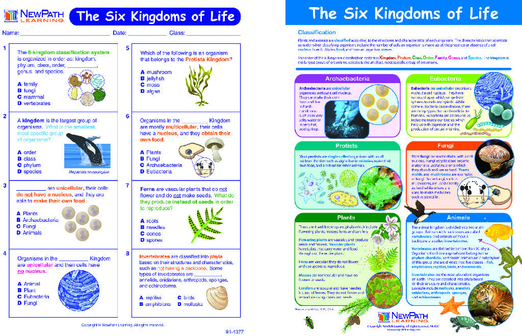 Visual Learning Guides