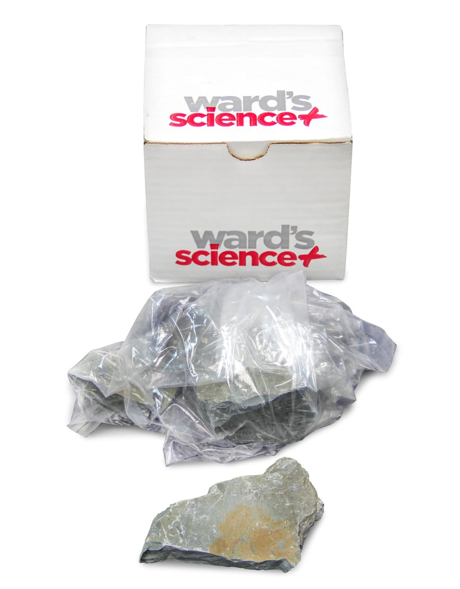 Ward's® Illite Shale