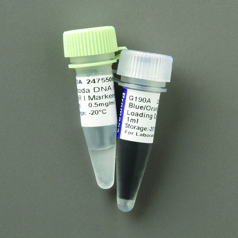 Promega DNA