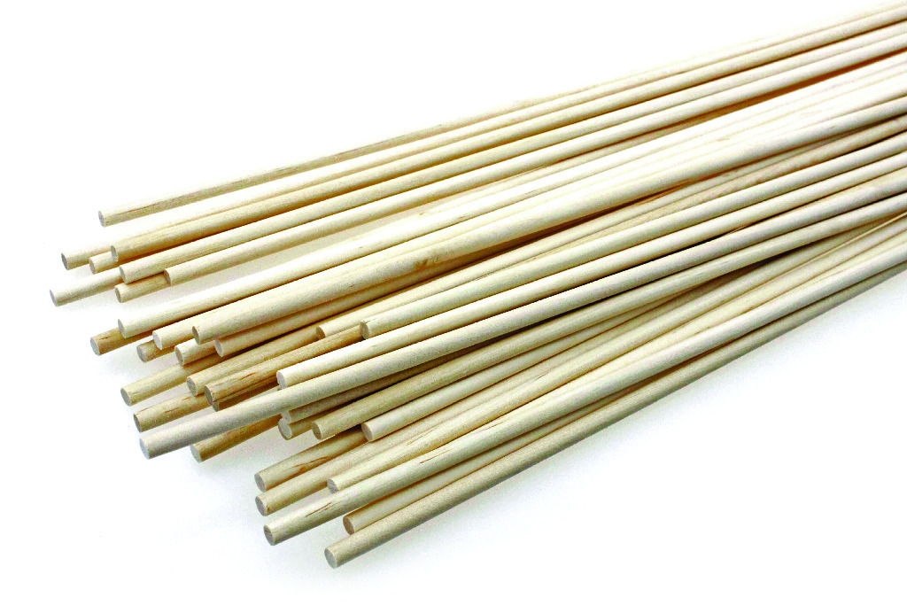 TeacherGeek Dowels 5×300 mm Pack of 50