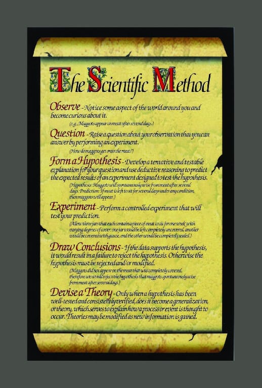 Ward's® Scientific Method Poster