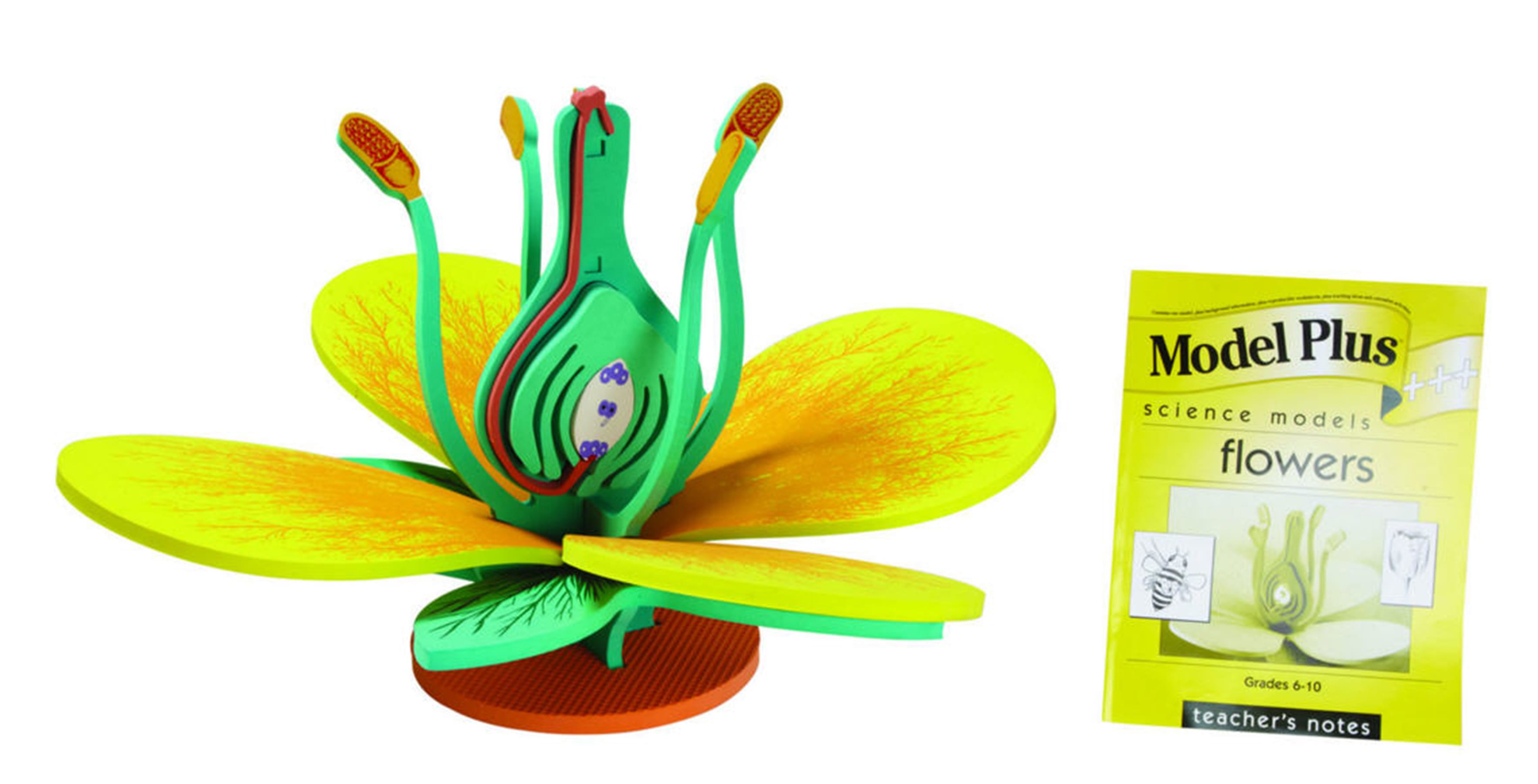 Model Plus: The Flower