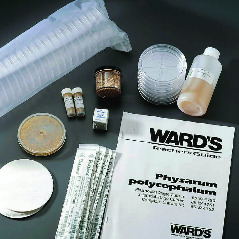 Ward's® Physarum Culture and Study Kit