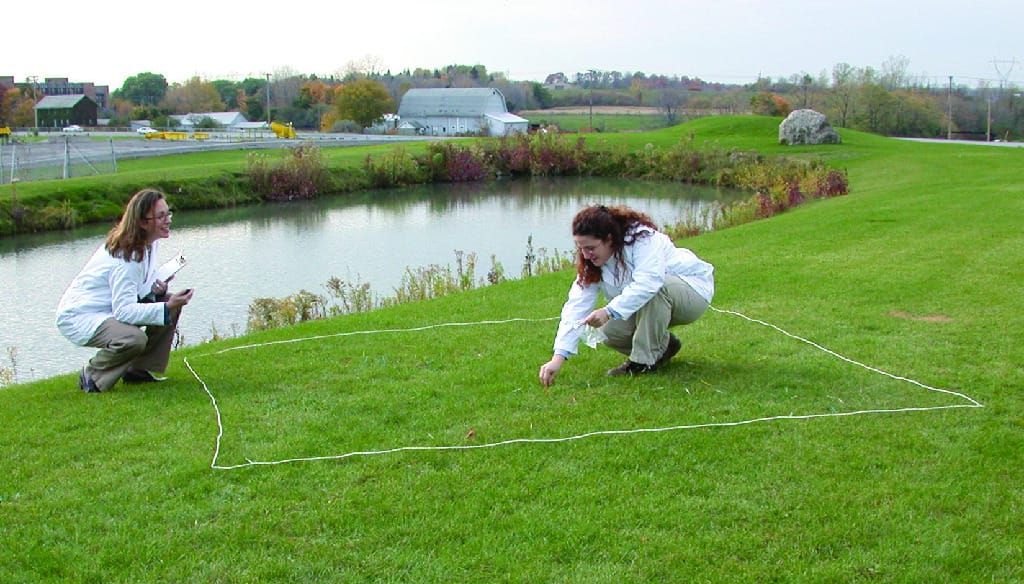Ward's® Birds And Worms: Modeling Natural Selection 