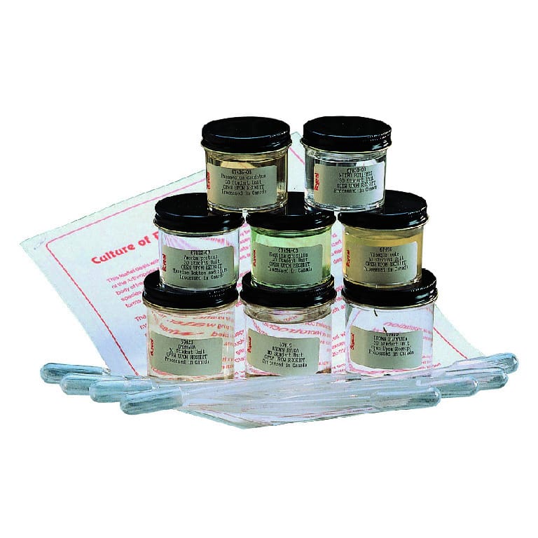 Ward's® Pond Life Culture Set
